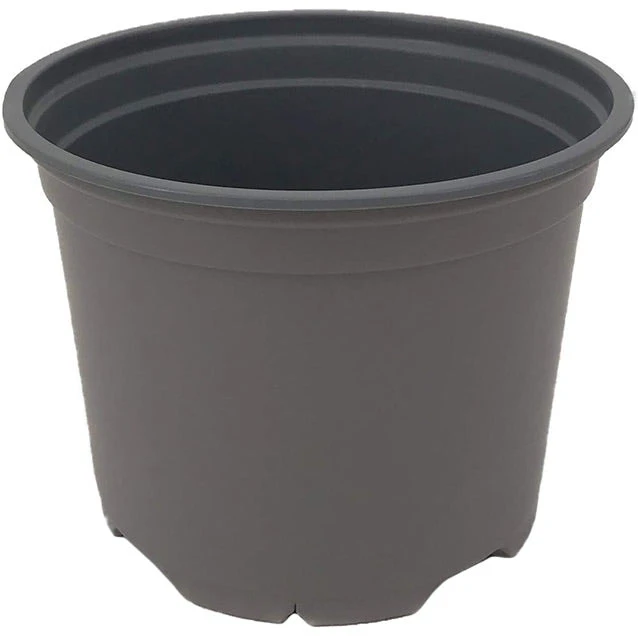 Nutley's 13cm 1 Litre Round Plant Pot 3 Nutley's 13cm 1 Litre Round Plant Pot