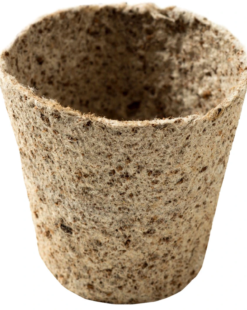 Nutley's 6cm Round Jiffy Peat-Free Fibre Plant Pot 3 Nutley's 6cm Round Jiffy Peat-Free Fibre Plant Pot