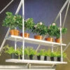 One Pair Hanging Shelves To Fit To Greenhouse Roof - 86cm X 15cm -Fresh Gardenly Store l SHHNG1