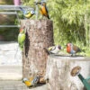 6 Assorted British Birds Garden Ornaments -Fresh Gardenly Store l british birds garden ornaments