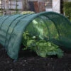 2 Haxnicks Giant Easy Net Tunnel -Fresh Gardenly Store l hax11gn 1