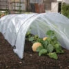 Haxnicks Giant Easy Polytunnel Cloche 1 Haxnicks Giant Easy Polytunnel Cloche -Fresh Gardenly Store l hax13gp 1
