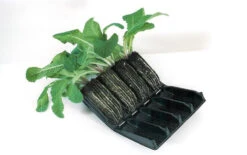 Haxnicks Deep Rootrainers Plug Plant Propagator Set 6 Haxnicks Deep Rootrainers Plug Plant Propagator Set -Fresh Gardenly Store l hax14dr 2