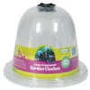3 X Haxnicks Clear Plastic Baby Bell Jar Cloches: No Pegs -Fresh Gardenly Store l hax46bb 1