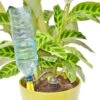 Iriso Watering Spike - Pack Of 4 -Fresh Gardenly Store l image 107608 600x600