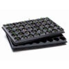 Jiffy Trays - Pack Of 2 With 80 - 42mm Blocks 1 Jiffy Trays - Pack Of 2 With 80 - 42mm Blocks -Fresh Gardenly Store l image 85613 500x500 1