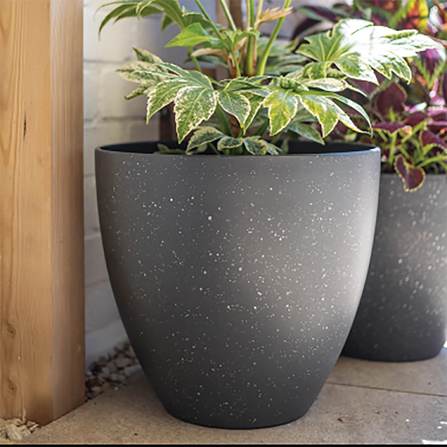 Kelkay Plant Avenue Stone Collection Lg Terrazzo Egg Pot In Black 3 Kelkay Plant Avenue Stone Collection Lg Terrazzo Egg Pot In Black