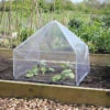 Haxnicks Easy Lantern Poly Garden Cloche -Fresh Gardenly Store l lanternfleece