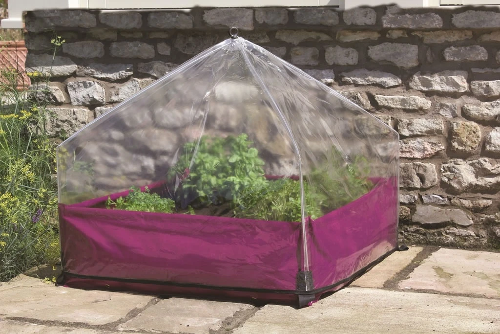 Haxnicks Easy Lantern Poly Garden Cloche 4 Haxnicks Easy Lantern Poly Garden Cloche - Image 2