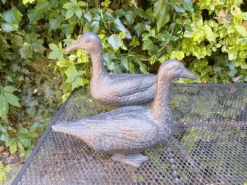 Pair Of Duck Garden Ornaments In Cast Aluminium With Antique Bronze Finish 10 Pair Of Duck Garden Ornaments In Cast Aluminium With Antique Bronze Finish -Fresh Gardenly Store l pair of ducks 2