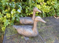 Pair Of Duck Garden Ornaments In Cast Aluminium With Antique Bronze Finish 9 Pair Of Duck Garden Ornaments In Cast Aluminium With Antique Bronze Finish -Fresh Gardenly Store l pair of ducks
