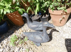 Pair Of Duck Garden Ornaments In Cast Aluminium With Antique Bronze Finish 11 Pair Of Duck Garden Ornaments In Cast Aluminium With Antique Bronze Finish -Fresh Gardenly Store l pair of ducks 3