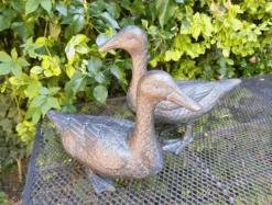 Pair Of Duck Garden Ornaments In Cast Aluminium With Antique Bronze Finish 12 Pair Of Duck Garden Ornaments In Cast Aluminium With Antique Bronze Finish -Fresh Gardenly Store l pair of ducks 4