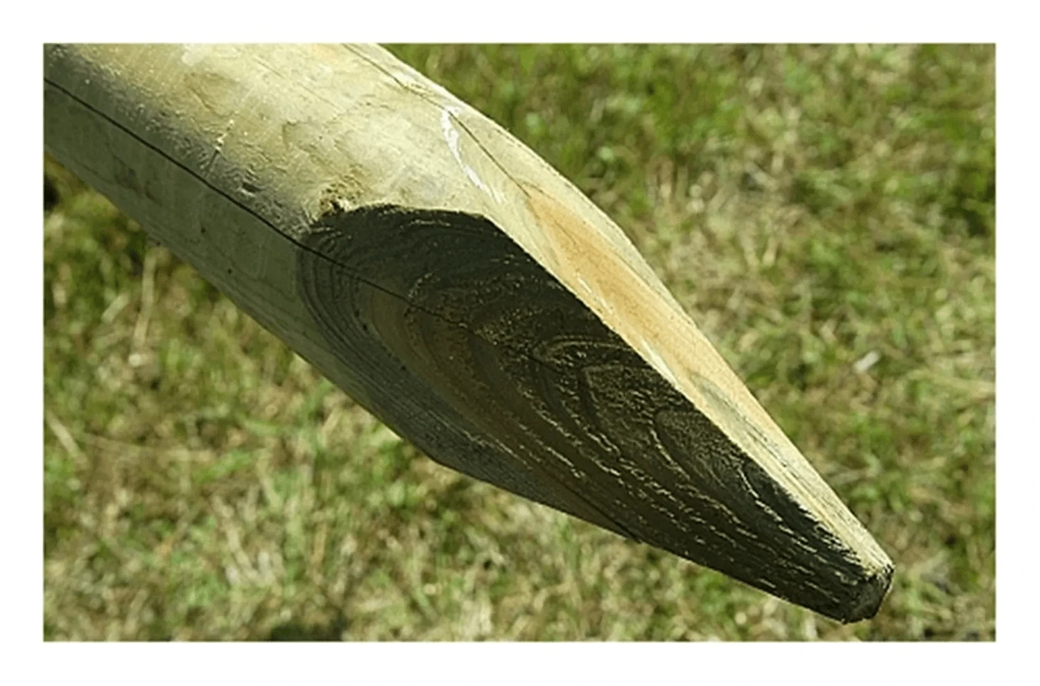 10 X 1.65m (5.5ft) Pressure Treated Machine Round Posts - 75mm Diameter 4 10 X 1.65m (5.5ft) Pressure Treated Machine Round Posts - 75mm Diameter - Image 2