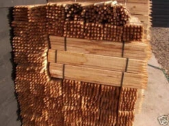 Rainbow Tree Defenders With Stakes - 75cm Tall - X10 -Fresh Gardenly Store l s l500 2