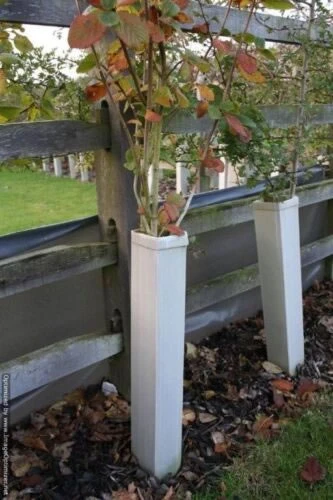 Rainbow Tree Defenders - 75cm Tall - X10 4 Rainbow Tree Defenders - 75cm Tall - X10 - Image 2