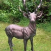 Standing Stag Aluminium Sculpture, Buck, 67cm Tall -Fresh Gardenly Store l stag67cm