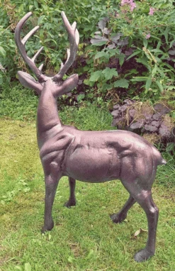 Standing Stag Aluminium Sculpture, Buck, 67cm Tall 7 Standing Stag Aluminium Sculpture, Buck, 67cm Tall -Fresh Gardenly Store l stag67cm 3