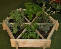 Medium Softwood Herb Wheel